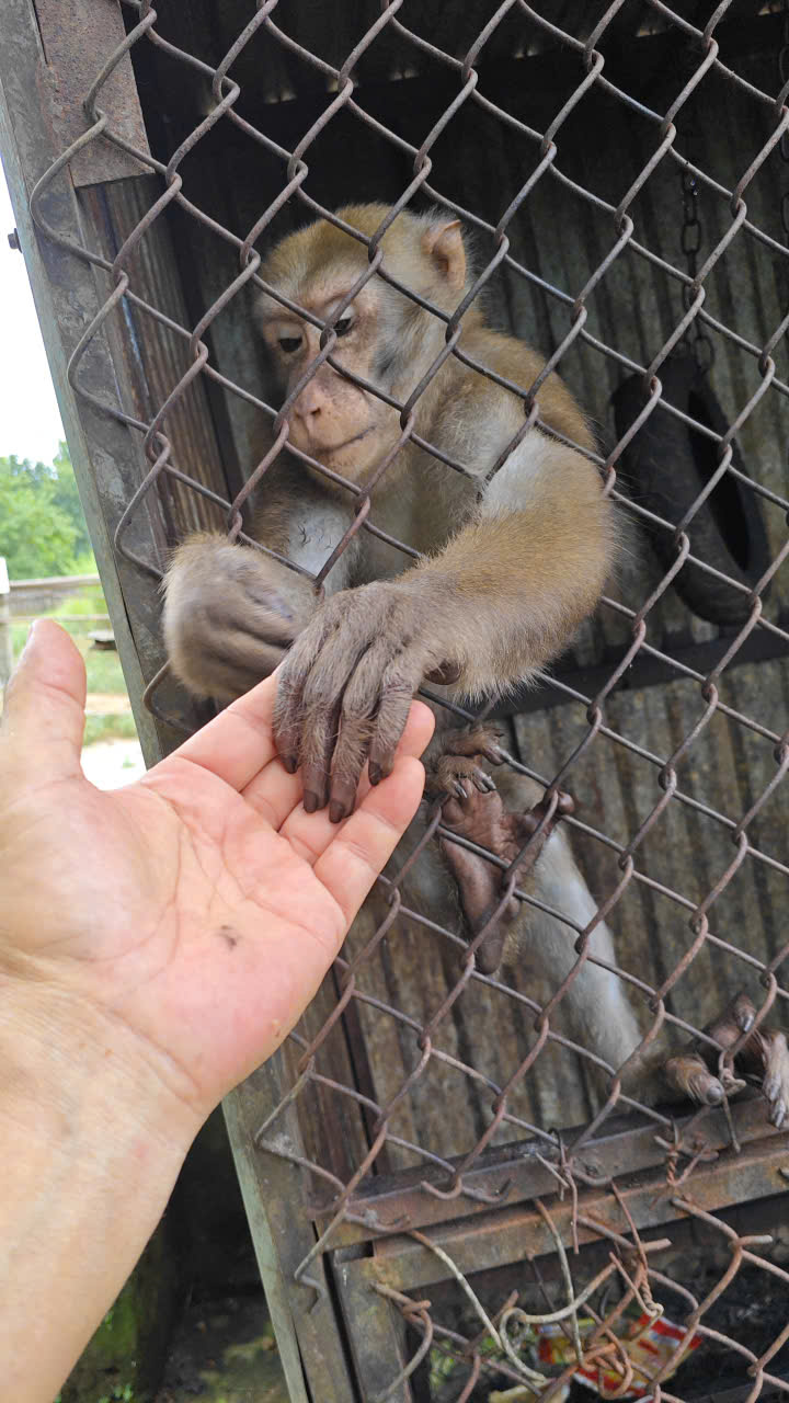 z765624130405672ed09e43a2f81e8742a6b1b4f2436ee